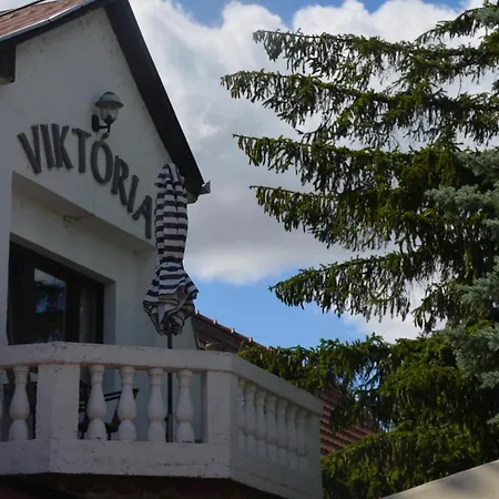 بيت ضيافة Viktoria